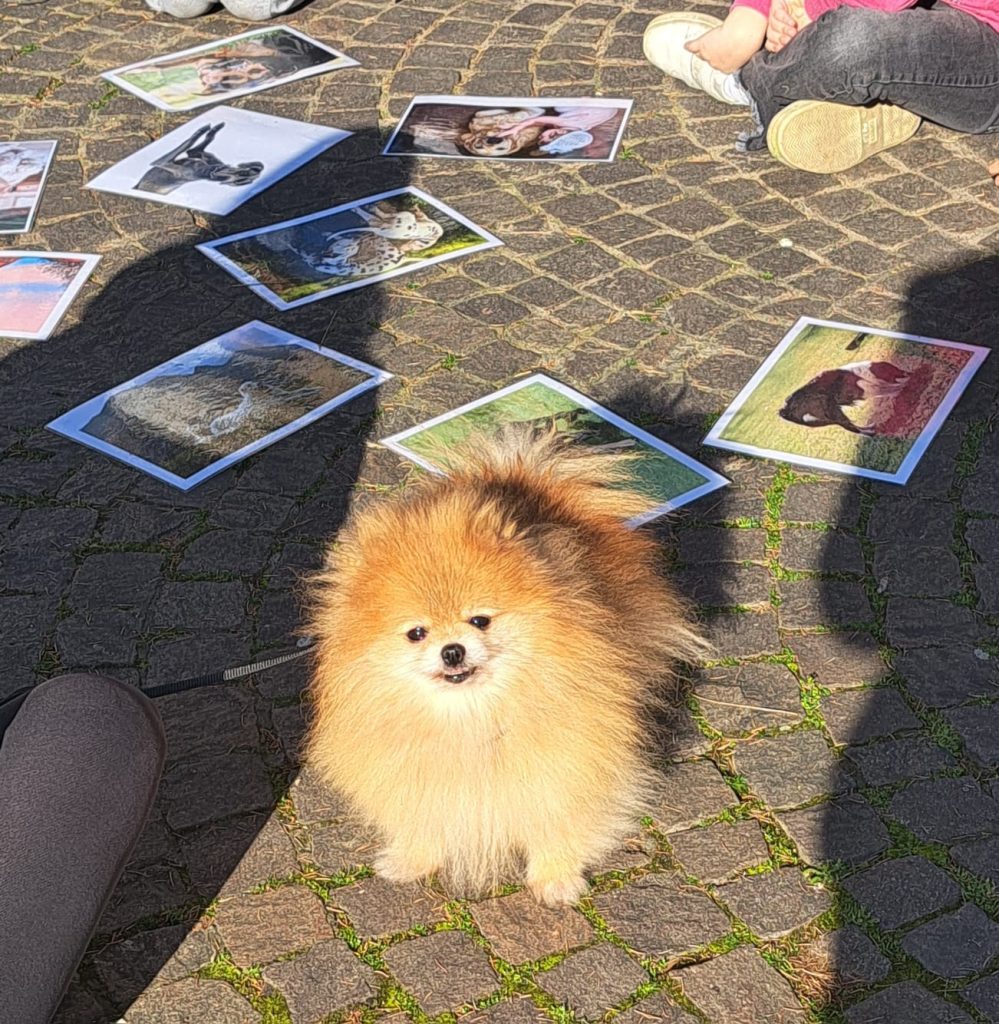 Percorso di Pet Terapy a Scuola